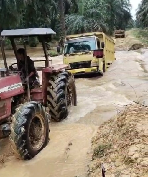 Jalan Rusak, Petani Plasma Area Sekuyam Kesulitan Mengeluarkan TBS