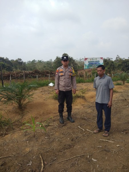 Polsek Benai Cek Lahan Jagung Pipil Dukung Program Swasembada Pangan 2026