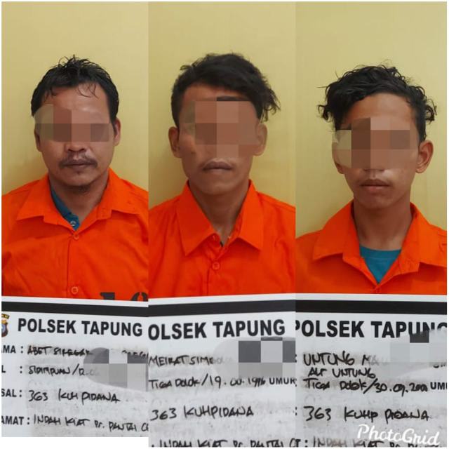 3 Terduga Pelaku Pencurian TBS Milik PTPN-V Kebun Sei Garo Tertangkap Tangan Saat Beraksi