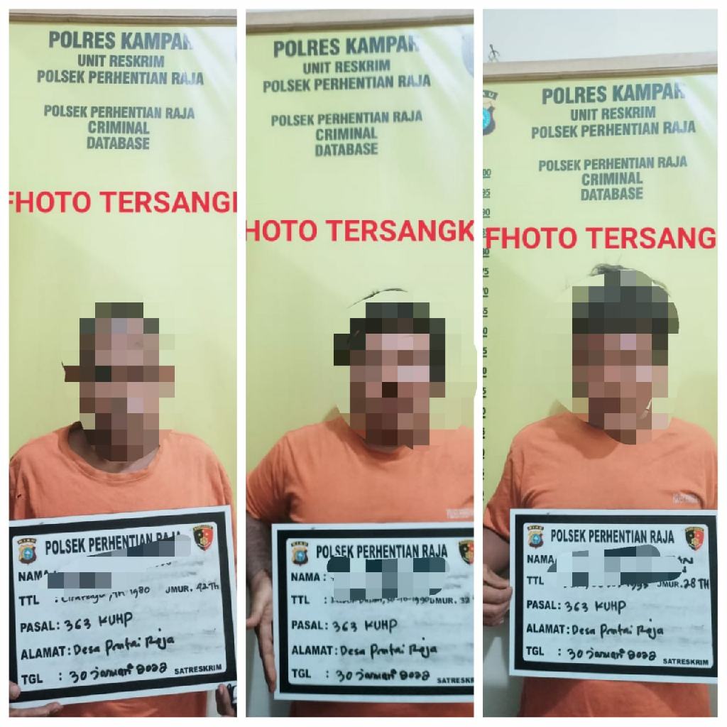 Polsek Perhentian Raja Amankan 3 Terduga Pelaku Pencurian TBS Milik PT. EDSS