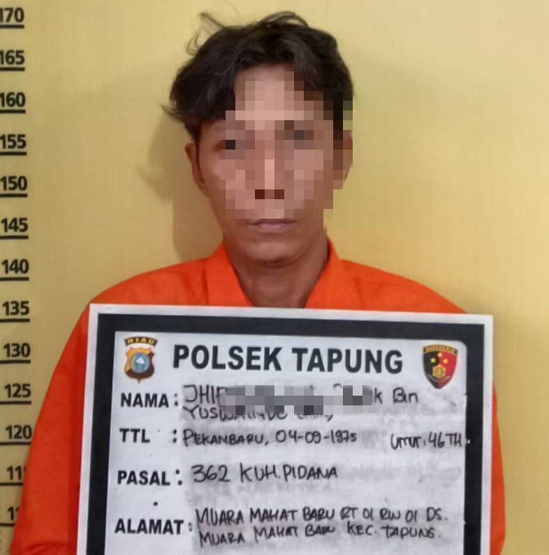 Curi 10 Ribu Batako senilai Rp 15 Juta, Pelaku Ditangkap Unit Reskrim Polsek Tapung