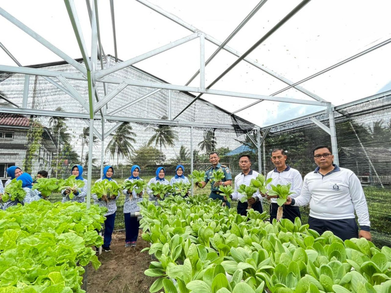 Tingkatkan Ketahanan Pangan TNI Lanal Ranai Panen Sayur