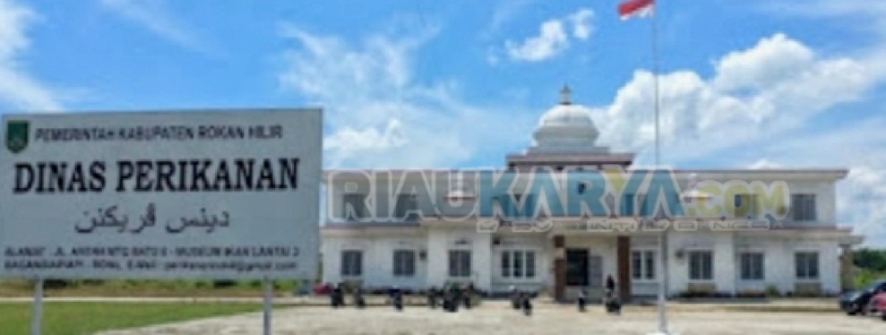 Pengadaan Perahu Mesin Dinas Perikanan Rohil 2021-2023 Rp 5,6 M, Begini Dugaan Modus Penyimpangannya