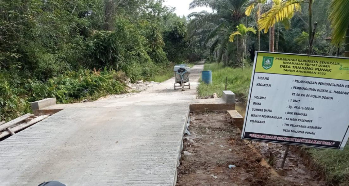 Melalui  Dana Bermasa Pemdes Desa Tanjung Punak  Bangun  Duiker Dusun Dokoh