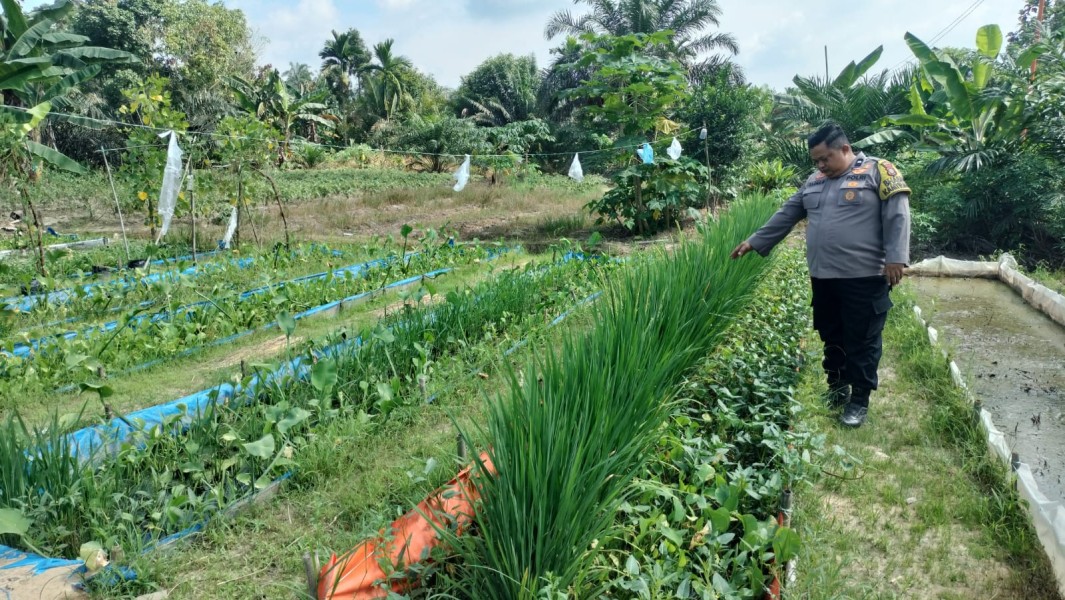Polri Hadir Dukung Ketahanan Pangan, Warga Desa Kelesa Manfaatkan Pekarangan Produktif