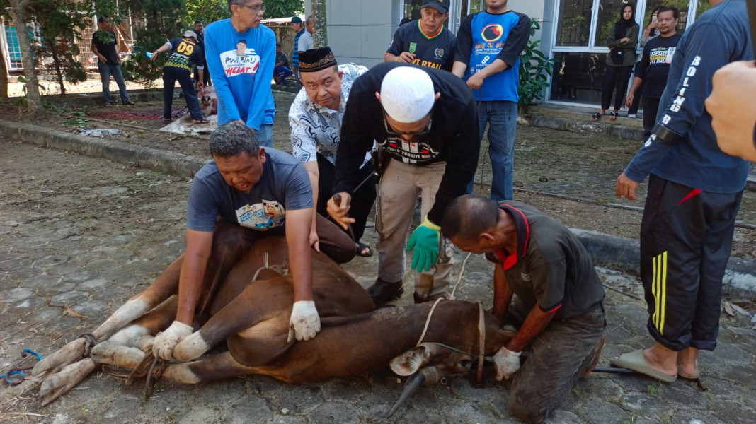 Pemotongan Hewan Kurban di PWI Riau Dihadiri Wakil Ketua DPRD Riau