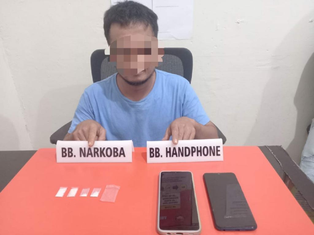 Tim Ojoloyo Polres Kampar Tangkap Bandar Narkoba di Perkebunan Kelapa Sawit