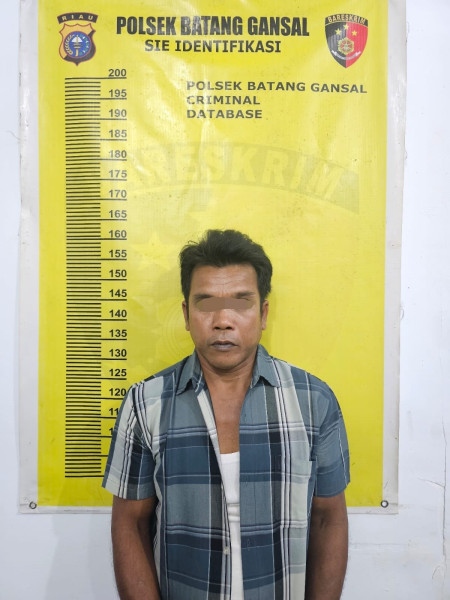 Setubuhi Anak Tiri, AS Dibekuk Polsek Batang Gansal, Inhu