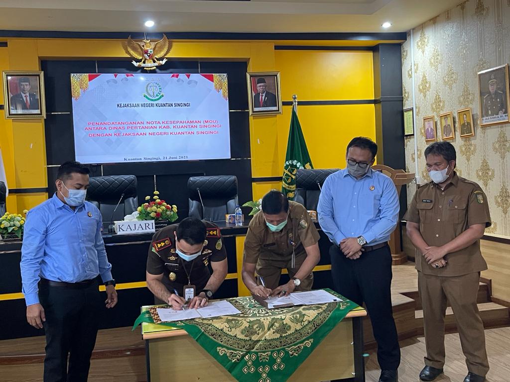 Dinas Pertanian Kuansing Teken MoU Dengan Kejari Kuansing