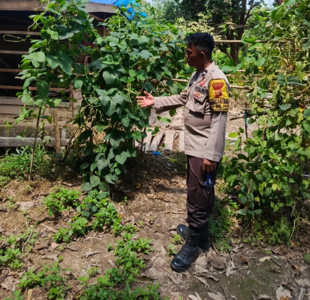 Polsek Batang Gansal Tinjau Pekarangan Bergizi, Dukung Program Asta Cita Ketahanan Pangan