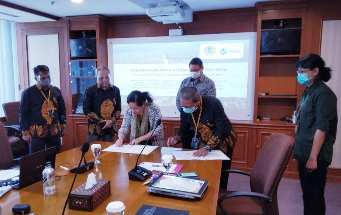 Kerja Sama dengan Yayasan Asri, BKSDA Bangun Pusat Konservasi Harimau Sumatera