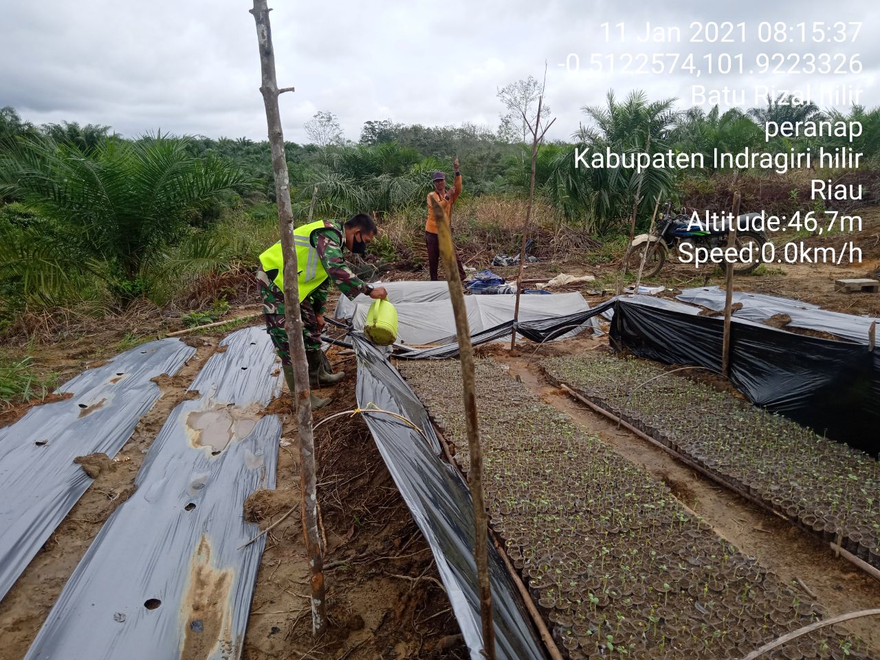 Dorong Kesejahteraan Petani, Kopda R. Manurung Tanam Ribuan Butir Bibit Semangka