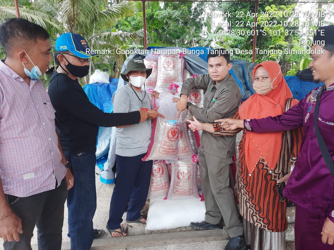 Setelah Besertifikat, Akhirnya Benih Padi Unggul Desa Tanjung Simandolak Dikirim ke Rohil