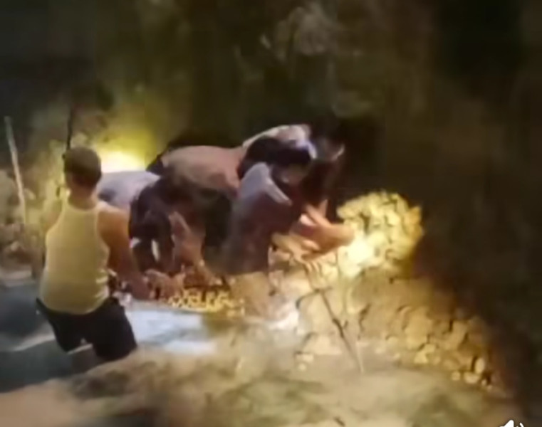 Seekor Buaya Sungai, Ditangkap Warga Desa Belimbing