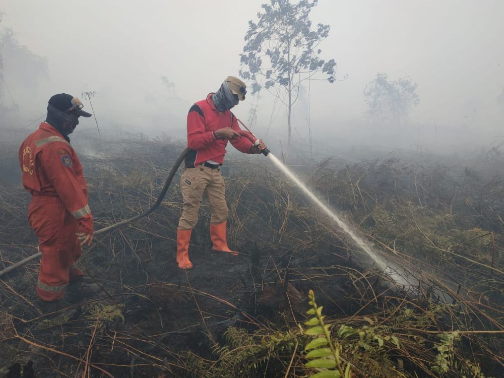 Luas Lahan Terbakar Riau Hingga 1 April Mencapai 996,58 Hektare