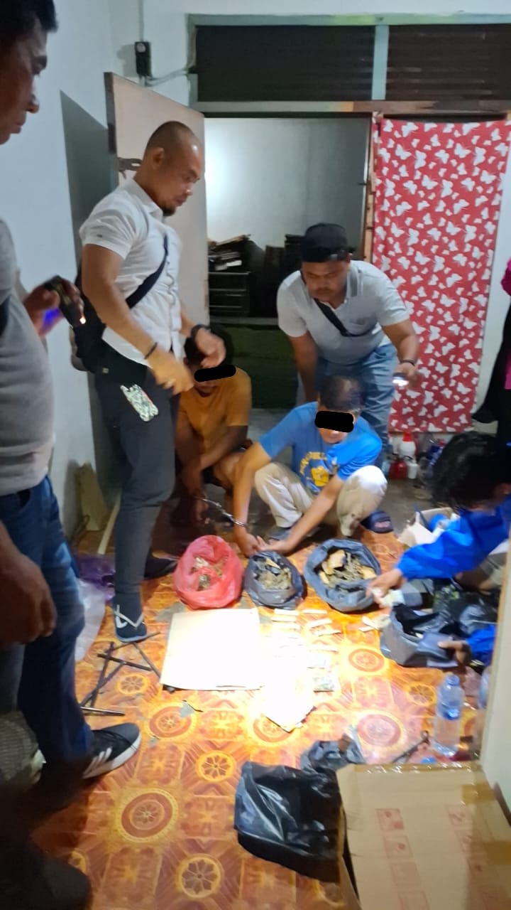 Tim Mata Elang Sat Res Narkoba Polres Kuansing Berhasil Ungkap Peredaran Narkotika Jenis Ganja Kering Sebanyak 520 Gram dari Seorang Residivis Narkoba.