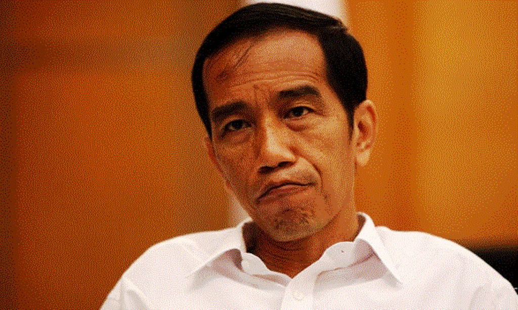 Bulan Ini, Presiden Jokowi Dijadwalkan Kunjungi Riau