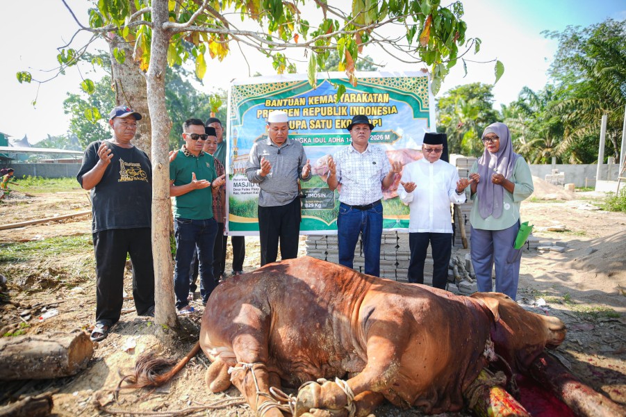 Sapi Kurban Bantuan Presiden Prabowo Dipotong di Ponpes Iman Saleh Inuman