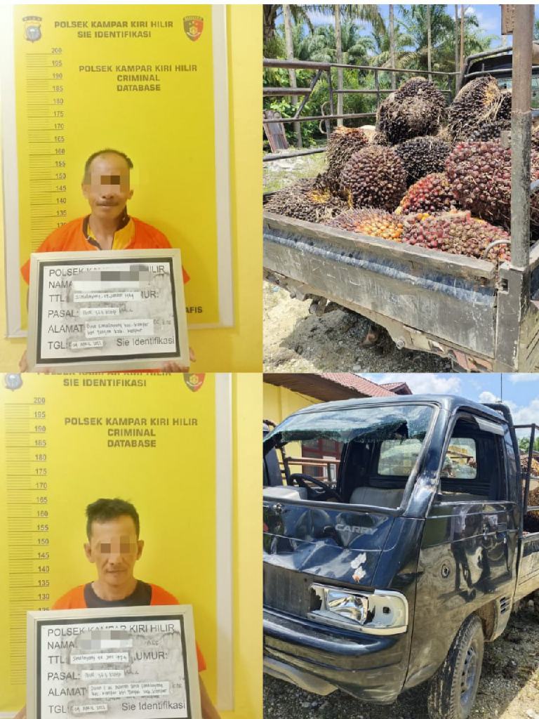 Sering Resahkan Warga, 2 Pelaku Pencuri Buah Sawit Berhasil Diringkus Polsek Kampar Kiri