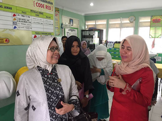 Sudah Normal, Ketua DPRD Riau Jemput Pasien RSJ Tampan Asal Tembilahan