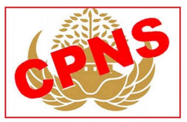 Tahun Depan Seleksi CPNS Dibuka Lagi