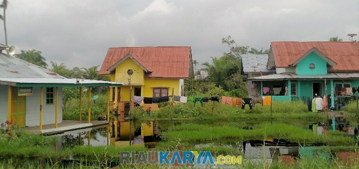 Banjir Masih Genangi Resetlemen Bagan Punak Hingga Rumah Warga