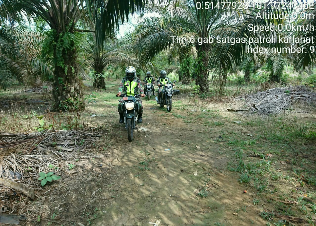Patroli di Pauranap, Dantim 06 Himbau Pihak Perusahaan Partisipasi Cegah Karhutla