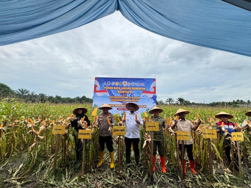 Panen Jagung Pipil Kuartal II Ketahanan Pangan Bersama Presiden, Ini Pesan Kapolres Dan Bupati Inhu