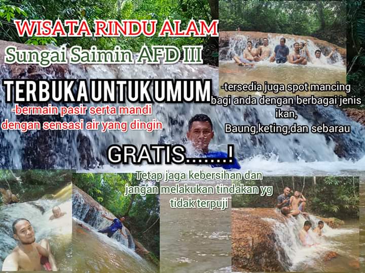 Pesona Keindahan Alam Sungai Saimin Afdeling III PTPN V Amo I yang Tengah Viral