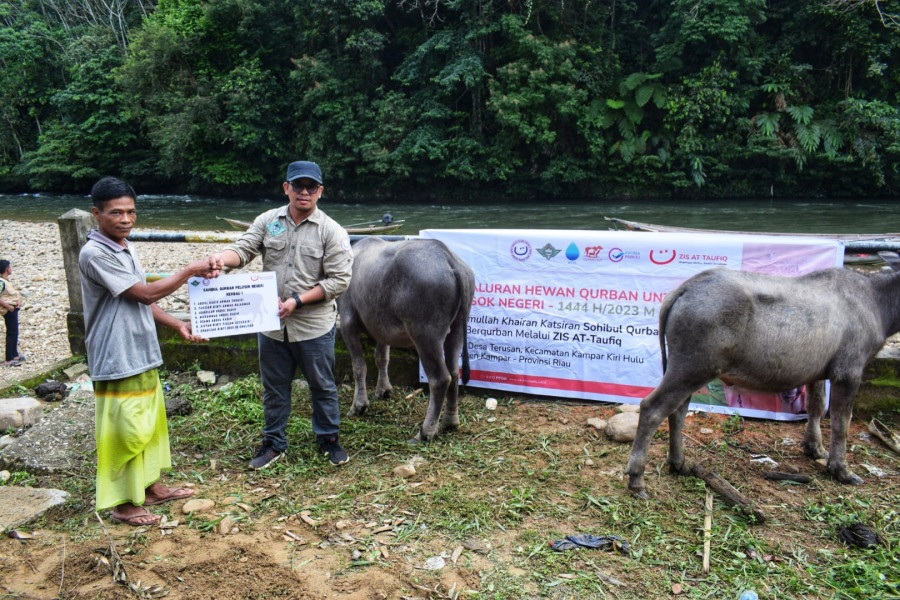 ZIS At-Taufiq Kota Bogor Menyalurkan 7 Ekor Hewan Kurban Ke Pelosok Negeri Di Kampar Kiri Hulu