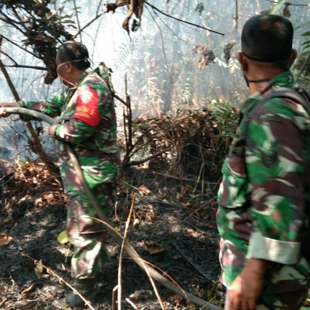 Areal Terbakar PT TPS Desa Payarumbai, Belum Sepenuhnya Padam
