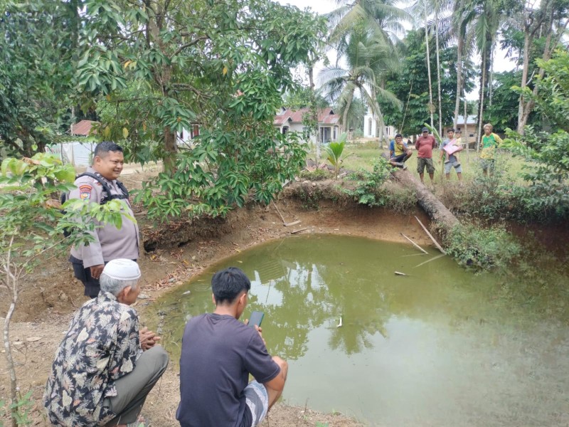 Bhabinkamtibmas Seberida Kawal Budidaya Ikan Nila di Desa Kelesa Dukung Ketahanan Pangan