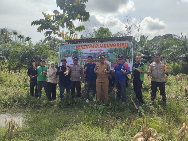 Kolaborasi Polres Inhu Bersama Usaha Desa, Perkuat Ketahanan Pangan Melalui Jagung Pipil