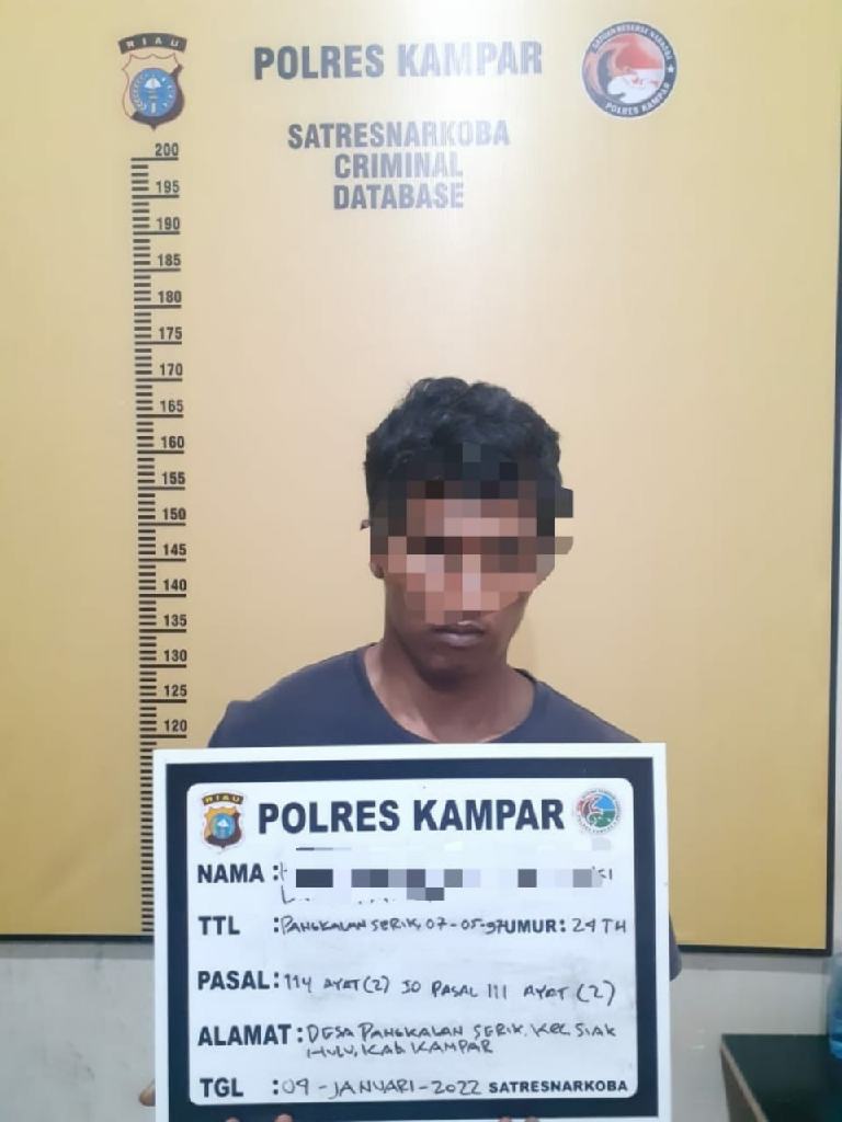 Resnarkoba Polres Kampar Tangkap Pengedar Daun Ganja Kering di DesaTeratak Bulu