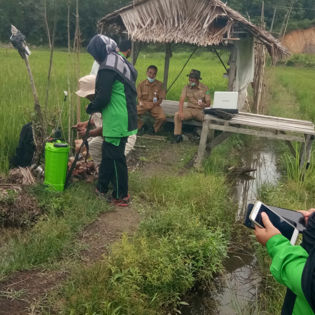 Kadistankan Inhu Ikuti Zoom Meeting di Area Persawahan Kampung Sawah Pangkalan Kasai