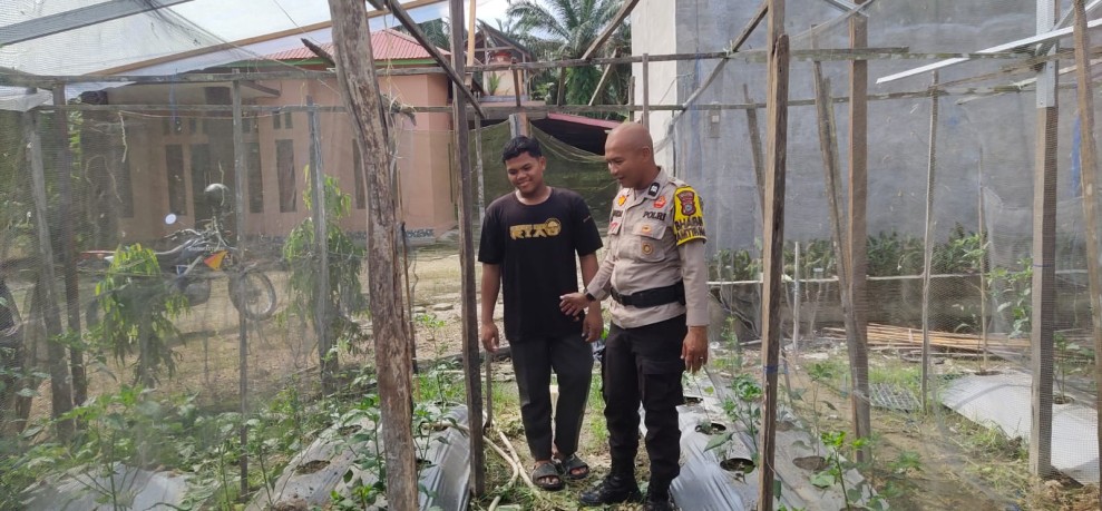 Bhabinkamtibmas Desa Titian Resak Aktif Dorong Ketahanan Pangan Lewat Budidaya Cabe Pekarangan