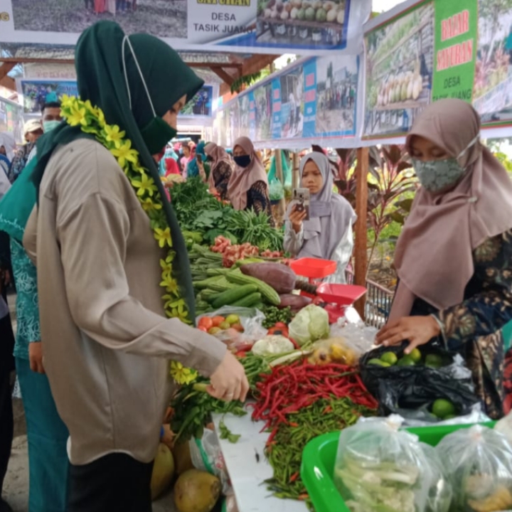 Kunjungi Desa Tasik Juang, Rezita Meylani Yopi Borong Produk Bazar Kreasi Kader PKK