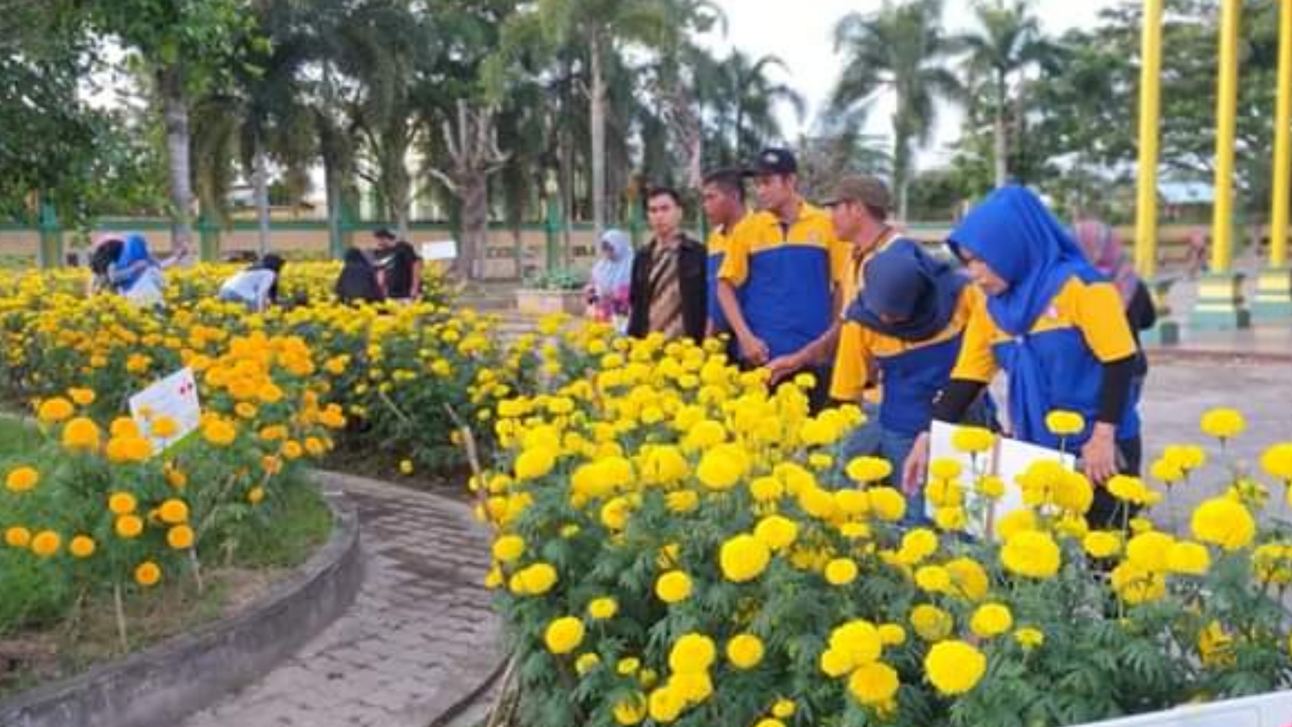 Viral di Media Sosial, Taman Bunga Karang Taruna Rengat Sudah dikunjungi Ribuan Warga