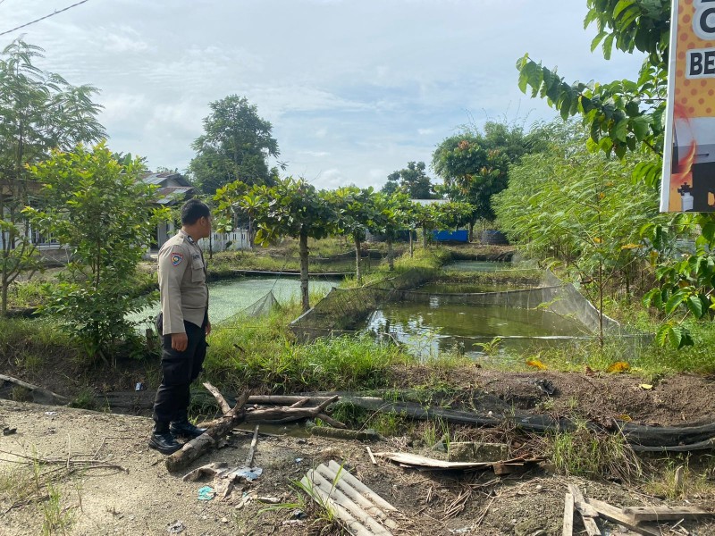 Brigadir Sandra Baiwa Ajak Warga Optimalkan Lahan Pekarangan untuk Budidaya Ikan Lele