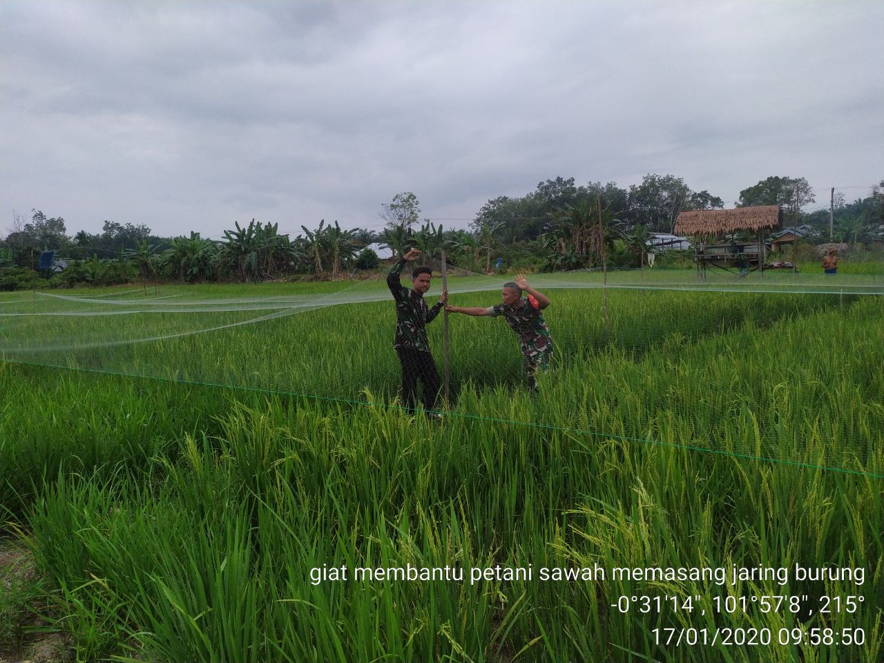 Jum'at Pagi Serda Wahyu Bantu Petani Pasang Jaring Pencegah Hama