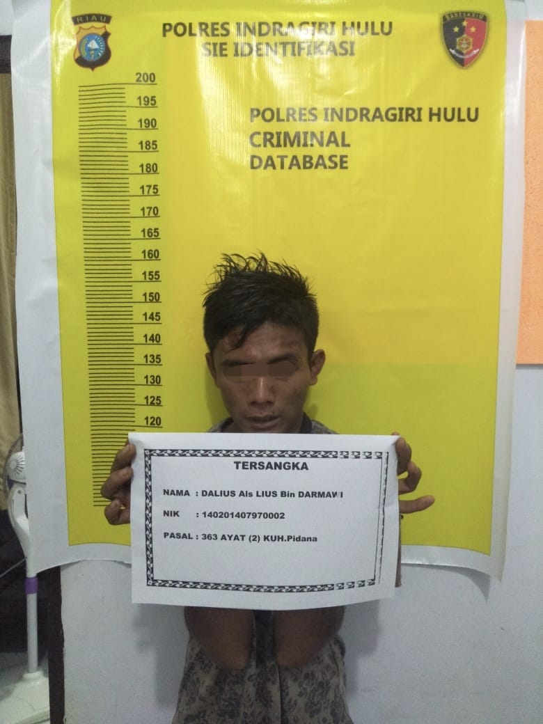 Tak Sampai 12 Jam, Pembobol Ruko Di Batang Cenaku Dibekuk Polisi
