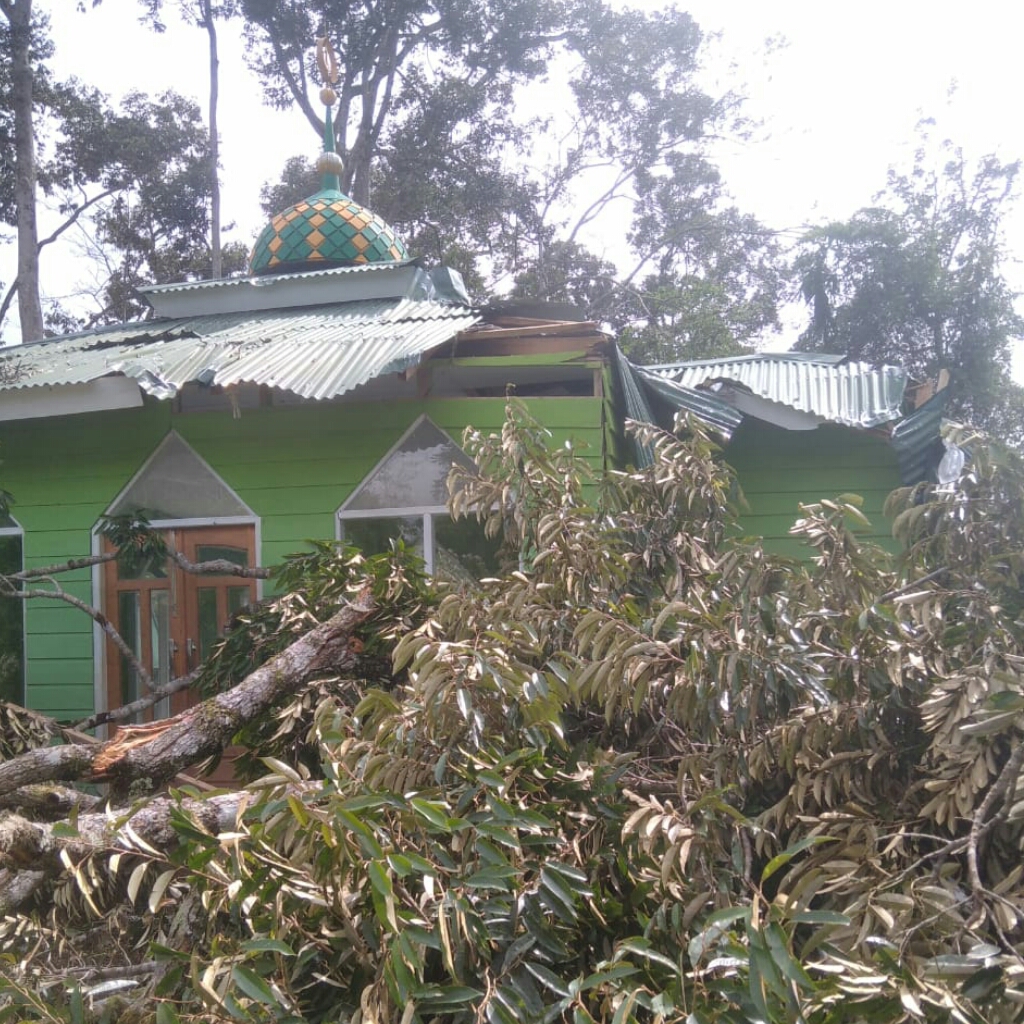 Masjid Pedalaman Talang Mamak Rusak Parah Akibat Tertimpa Pohon