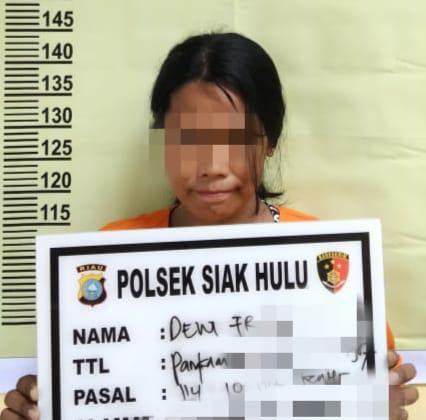 Diduga Edarkan Shabu, Wanita Ini Ditangkap Polsek Siak Hulu