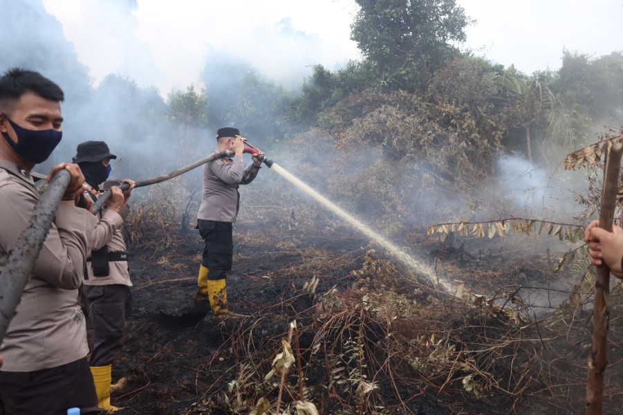 Pantang Menyerah Personel Gabungan Terus Kendalikan Karhutla di Pulau Gelang
