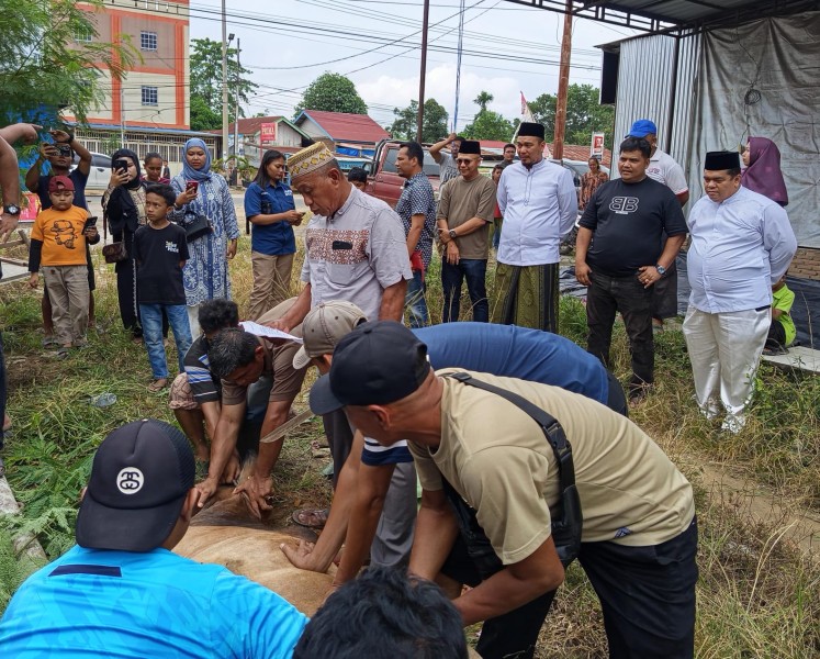 Idul Adha 1446 H, JMSI Inhu Sembelih Hewan Kurban Bersama Bupati dan DPRD