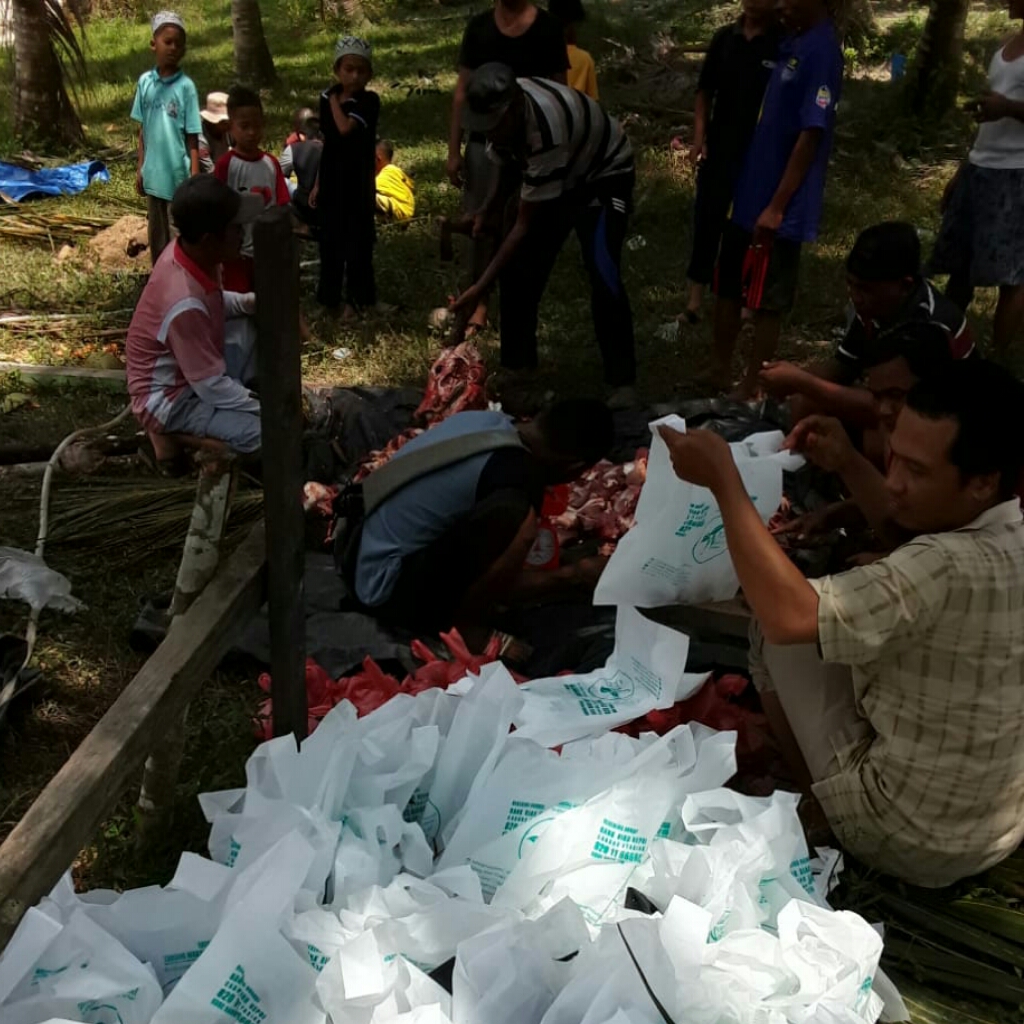 Yayasan Tabung Wakaf Umat Menyalurkan Kurban di Pedalaman Inhu