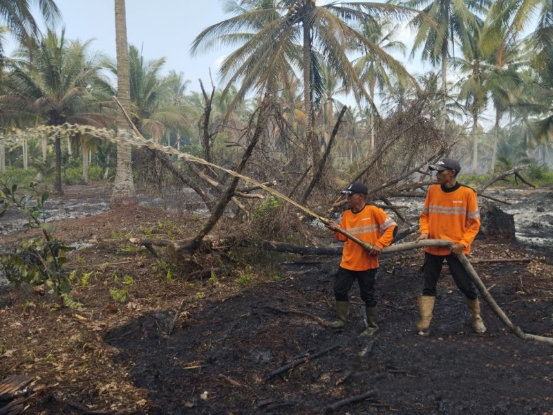 Danramil Apresiasi PT RSUP atas Respon Cepat Tangani Karhutla Pulau Burung