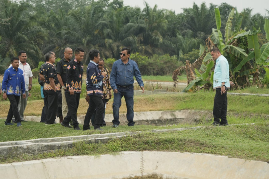 Tinjau BBI Sentajo Bupati Minta Dinas Perikanan Maksimalkan PAD