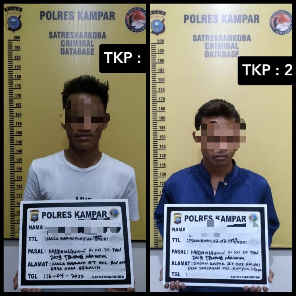 2 Pengedar Shabu Diciduk Resnarkoba Polres Kampar di 2 TKP Berbeda