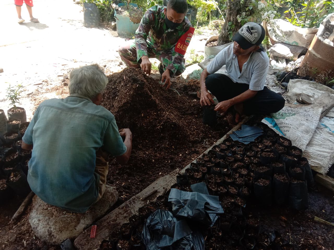 Ubah Perkarangan Jadi Taman Mini, Serda Reno Ajak Warga Tanam Apotik Hidup